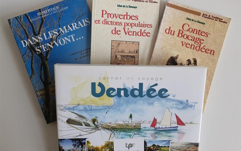 La bibliothèque au petit camping à Saint Jean de Monts en Vendée